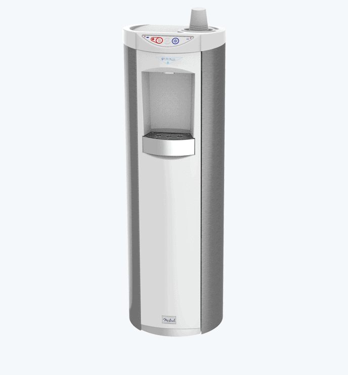 Catálogo Selecionado